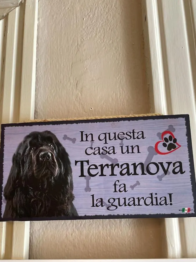 ***  Hotel Lukas Viareggio Italia